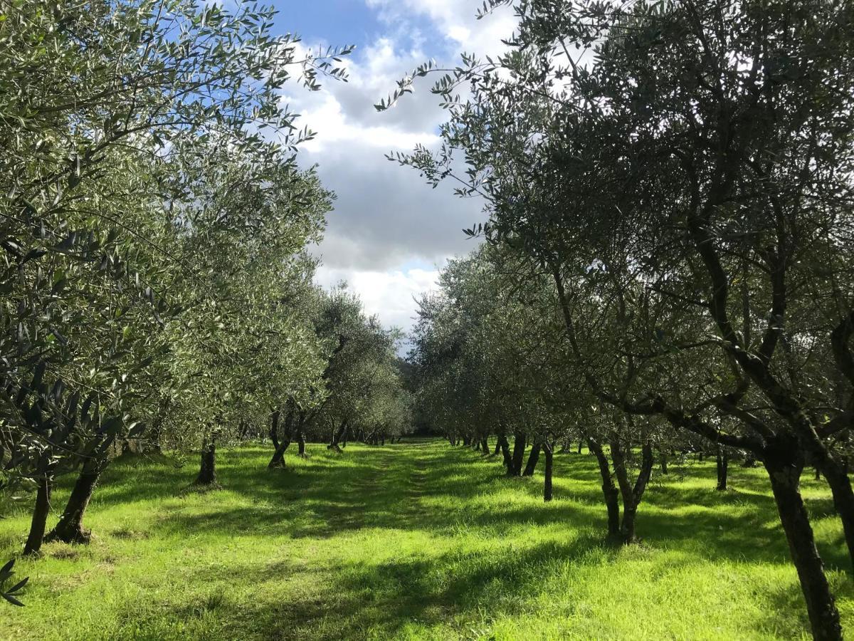 Agriturismo Podere I' Caldino Troghi Exterior foto